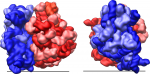 Nobel prize for Chemistry 2009 – The Structure of Ribosomes